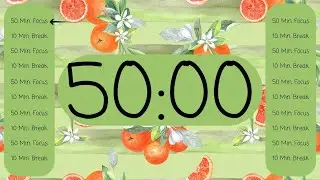 🔴 10-Hour Timer Live Stream – Summer Forest Sounds 🌳🕊️ | Calm Study & Focus Ambience 📚✨
