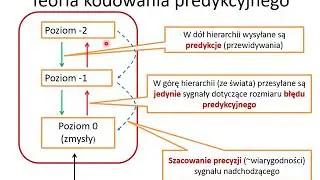 Wykład 11: Predykcyjna teoria umysłu. Hierarchiczne wnioskowania bayesowskie