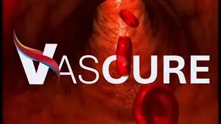 SALUD VASCULAR