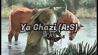 Ya Ghazi (a.s) ||  Syed Ali jee Sarwar  || Slowed and Reverbed || Noha 2022