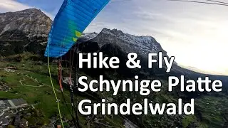 Hike & Fly | Schynige Platte - First -  Grindelwald