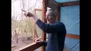 Pigeon Landing platform explained!