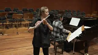 Mozart Flute Concerto in D Major 1. Movement