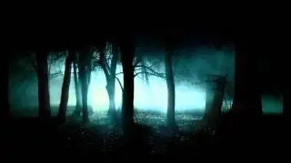 HIM Into the Night (radio edit)