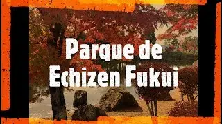 PARQUE DE ECHIZEN -FUKUI