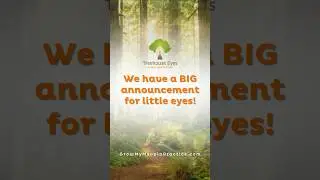 New Programs at Treehouse Eyes!