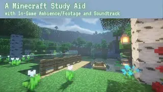 A Minecraft Study Aid || In-Game Ambience/Footage and Soundtrack