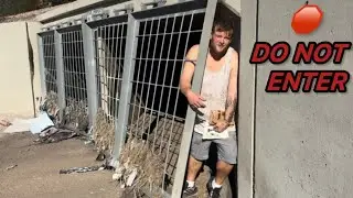 Экскурсия по секретному туннелю приюта для бездомных в Финиксе, штат Аризона.