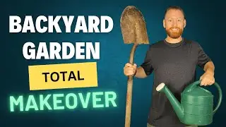 Backyard Garden Rehab