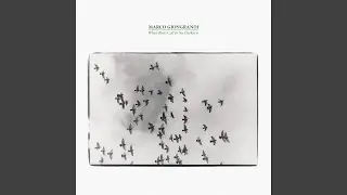 We'll Be Leaves