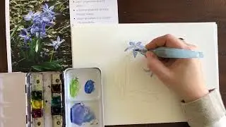 The Nature Journaler: Journaling Spring Watercolor Painting of Squill