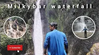 Milkybar waterfall | Tamini ghat | Maharashtra #travel #waterfall #video #mumbai #nature #adventure