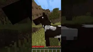 Beating a sheep with my bare fists