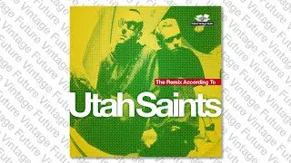 Nina Hagen - So Bad (Utah Saints Radio Instrumental)