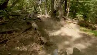 Mountain Biking (MTB) - Soquel Demonstration Forest - Ridge Trail