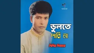 Vulte Parina