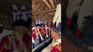 Ao tribe | Hornbill 2024 | Nagaland #hornbillfestival #nagalandfestival #nagaland