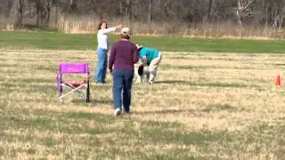 Coursing Ability Test, Mallory