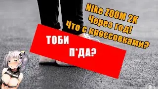Nike Zoom 2k спустя год, что стало с дешевыми кроссовками за год