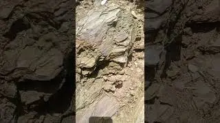 shalestone deposits after rain #shalestone #sealtitan