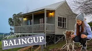 MAGICAL BALINGUP | We Stayed in a Chalet with Rescue Farm Animals!