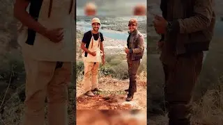 Toada “Intriga do cachorro e o gato” - Iguinho e Lulinha