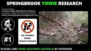 SPRINGBROOK YOWIE RESEARCH