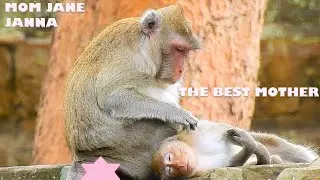 Jane is very good mother care and groom Janna