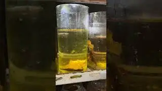 MGA BETTA FISH SA ATING SHOP 01/30/2026