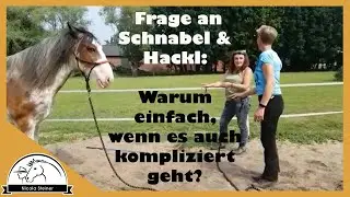Pferd wird WC-Ente: Bernd Hackl entlarvt sich selbst - kein Westerntrainer | Pferdeprofis Review 5