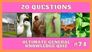 General Knowledge Quiz | Expand Your Mind! | Trivia | #74
