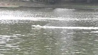Syma century rc boat