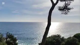 Lloret de Mar, Spain, January 2026