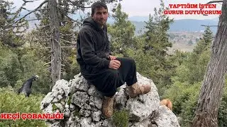 TOROS DAĞLARINDA TEK BAŞINA VERİLEN HAYAT MÜCADELESİ - KEÇİ ÇOBANLIĞI  |  BELGESEL