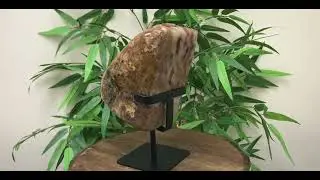 6.5 X 4 inch Pink Amethyst Crystal Geode on Stand 6.2 Lb