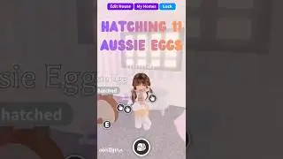 Hatching 11 Aussie Eggs&hellip; #adoptme #roblox #adoptmeeggs #aesthetic #preppy #cute