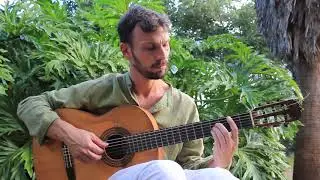 Chico the Cat Video