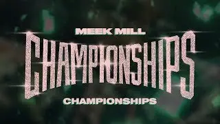 Meek Mill - W.T.S. feat. Melii Instrumental