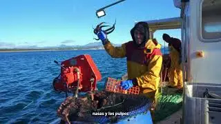 DOCUMENTAL OPP72 PESCA DEL PULPO