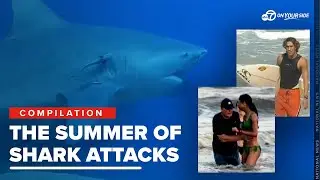 Shark week turns into shark month as people across the country experience several attacks