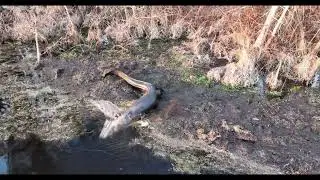 Mavic 3 crash while kayaking at the lake.