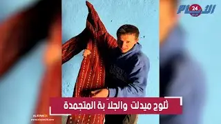 جلاّبة متجمدة تبرز قساوة موجة البرد بجبال ميدلت