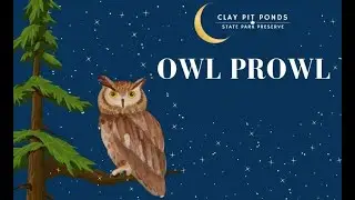 Searching for Owls - Night hike in Clay Pit Pond State Park