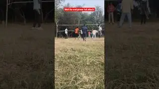 volleyball lovers ❤️❤️#shortvideo #shortfild #shortsviral #shorts #mazz#Shahid Alam#volleyball