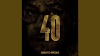 Happy Viche