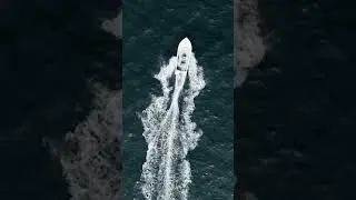 #shorts - Le moulinet Slammer IV et la p&ecirc;che du bar