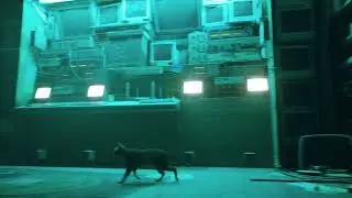 Where To Find The Four Batteries | Stray