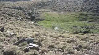 TOPLUCA