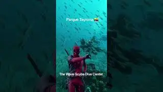 Buceo en Tayrona 🇨🇴 #divecenter #santamarta #buceo #scubadiving #divecenter #tayrona #colombia #love