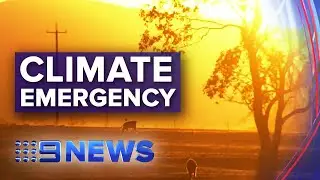 Thousands of scientists join forces to declare climate emergency | Nine News Australia
